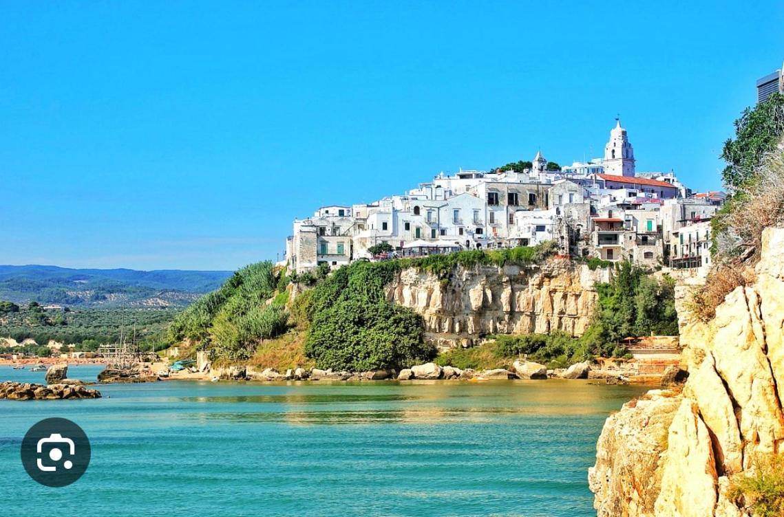 B&B Tra Le Vie Del Borgo 비에스테 외부 사진